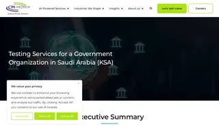 Preview of the Government Org Case Study