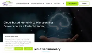 Preview of the FinTech Leader Case Study
