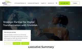 Preview of the Fortune 500 Packaging Company Case Study