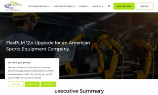 Preview of the American Sports Equipment Company Case Study