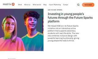 Preview of the AIB Case Study