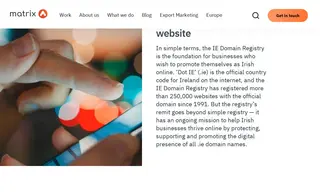 Preview of the IE Domain Registry Case Study