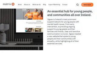 Preview of the Jigsaw Case Study