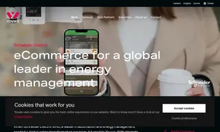 Preview of the Schneider Electric Case Study