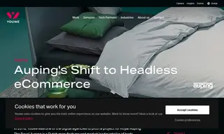 Preview of the Auping Case Study
