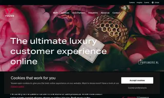 Preview of the Parfumerie.nl Case Study