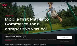 Preview of the Outdoor Toys Case Study