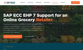 Preview of the Online Grocery Retailer Case Study