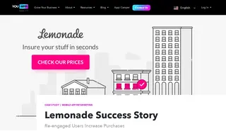 Preview of the Lemonade Case Study