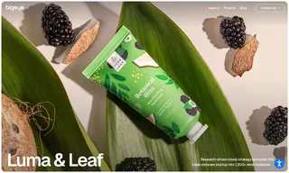 Preview of the Luma & Leaf Case Study