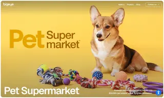 Preview of the Pet Supermarket Case Study