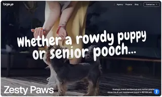 Preview of the Zesty Paws Case Study