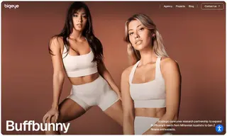 Preview of the Buffbunny Case Study