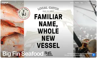 Preview of the Big Fin Seafood Case Study