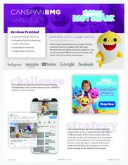 Preview of the WowWee Case Study