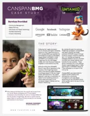 Preview of the WowWee Case Study