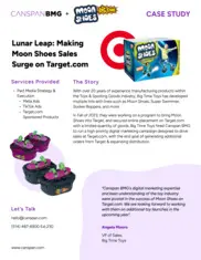 Preview of the Big Time Toys Case Study