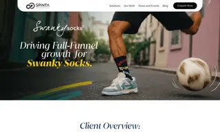 Preview of the Swanky Socks Case Study