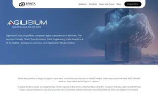 Preview of the Agilisium Consulting Case Study
