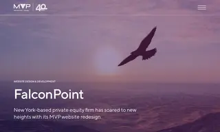 Preview of the FalconPoint Capital Partners Case Study