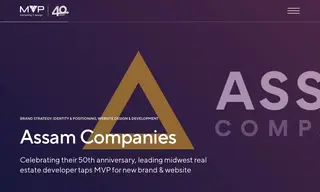 Preview of the Assam Companies Case Study