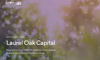 Preview of the Laurel Oak Capital Partners Case Study