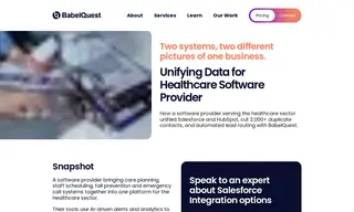 Preview of the Healthcare Sector Software Provider Case Study