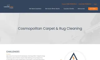 Preview of the Cosmopolitan Carpet & Rug Cleaning Case Study