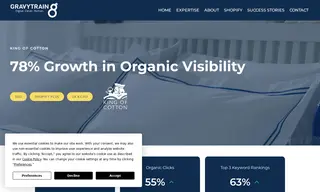 Preview of the King of Cotton Case Study