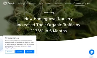 Preview of the Homegrown Nursery Case Study