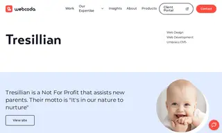 Preview of the Tresillian Case Study