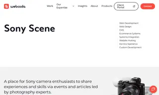 Preview of the Sony Scene Case Study