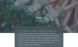 Preview of the Prier Case Study
