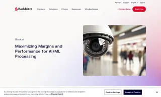 Preview of the Black.ai Case Study