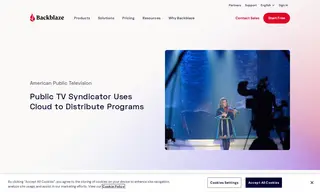 Preview of the American Public Television Case Study