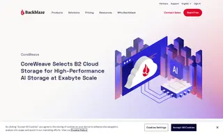 Preview of the CoreWeave Case Study
