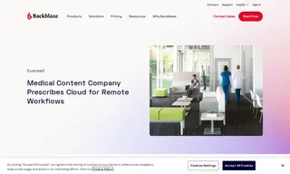 Preview of the Everwell Case Study