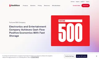 Preview of the Fortune 500 Electronics and Entertainment Company Case Study