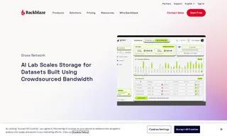 Preview of the Grass Network Case Study