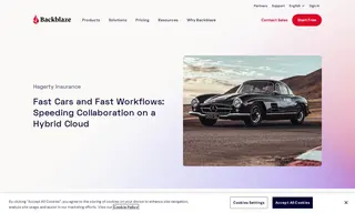 Preview of the Hagerty Insurance Case Study
