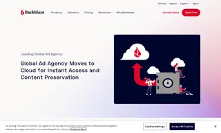 Preview of the Leading Global Ad Agency Case Study