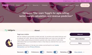 Preview of the NetGuru Case Study