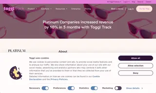 Preview of the Platinum Companies Case Study