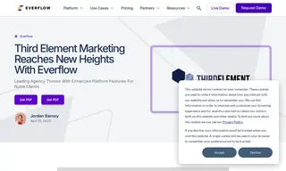 Preview of the Third Element Marketing Case Study