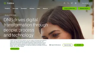 Preview of the DNB Bank Case Study