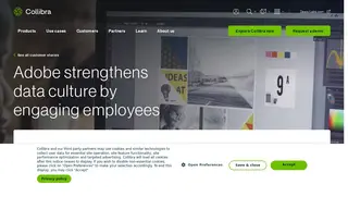 Preview of the Adobe Case Study