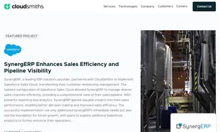 Preview of the SynergERP Case Study