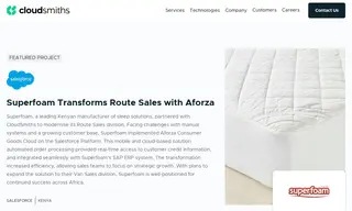 Preview of the Superfoam Case Study