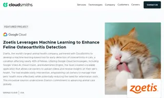 Preview of the Zoetis Case Study