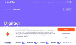 Preview of the Digitaal Vlaanderen (Flanders Digital) Case Study